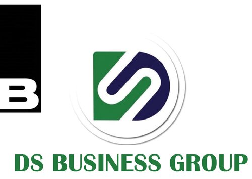 DS Business Group logo